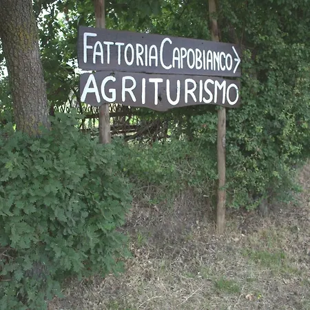 Fattoria Capobianco *