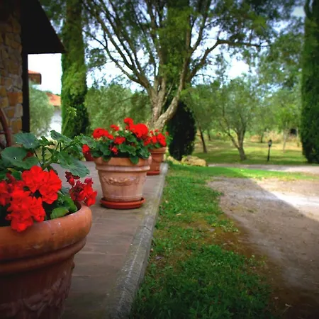 Fattoria Capobianco * Montefiascone