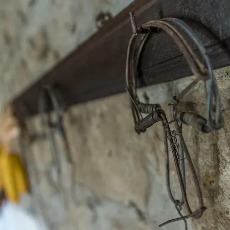مزرعة للإقامة Fattoria Capobianco مونتيفياسكون