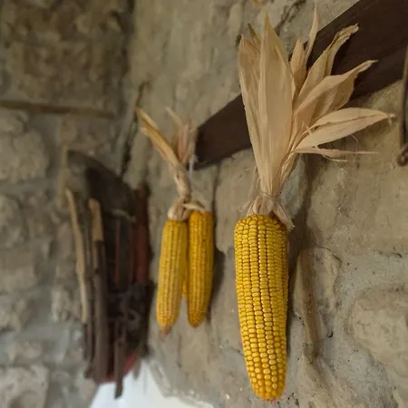 Fattoria Capobianco *