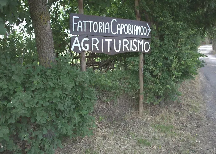 Fattoria Capobianco *